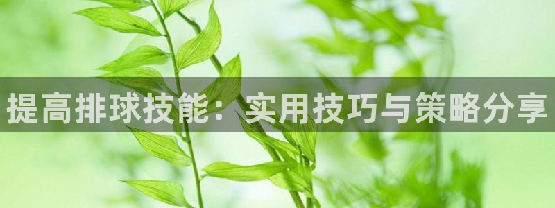  提高排球技能：实用技巧与策略分享