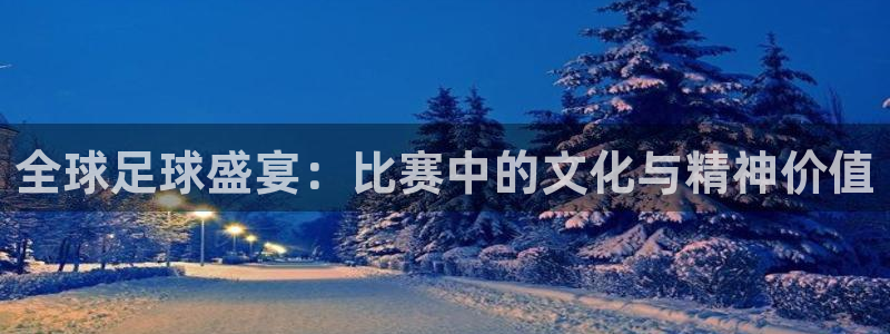  全球足球盛宴：比赛中的文化与精神价值