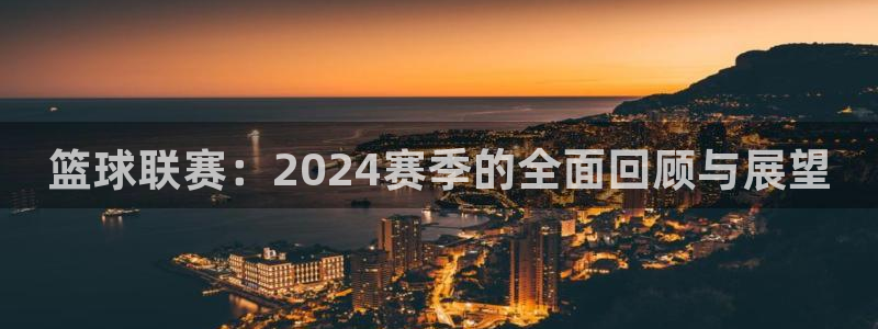 篮球联赛：2024赛季的全面回顾与展望