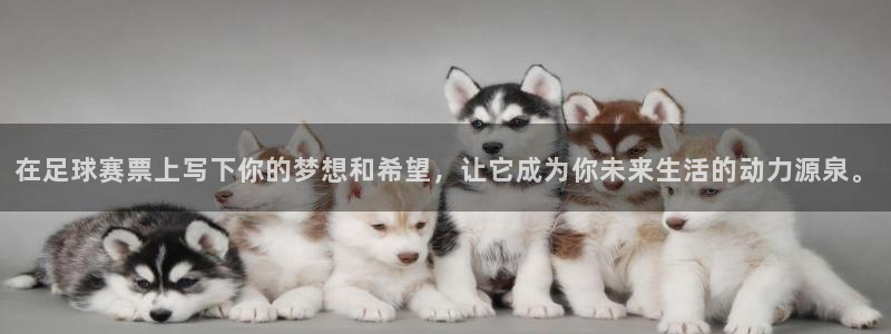  在足球赛票上写下你的梦想和希望，让它成为你未来生活的动力源泉