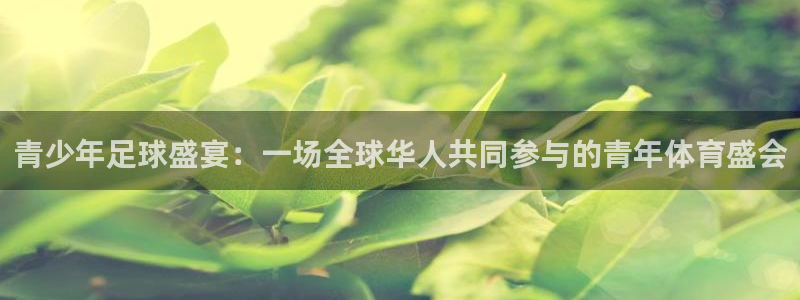  emc体育app下载：青少年足球盛宴：一场全球华人共同参与的