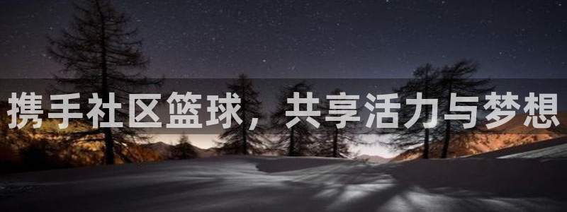 emcapp下载普通下载：携手社区篮球，共享活力与梦想