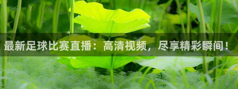  emc平台：最新足球比赛直播：高清视频，尽享精彩瞬间！