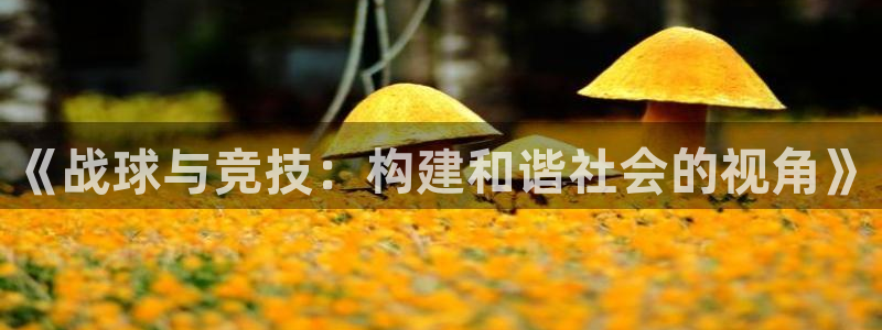  易倍emc安全吗：《战球与竞技：构建和谐社会的视角》