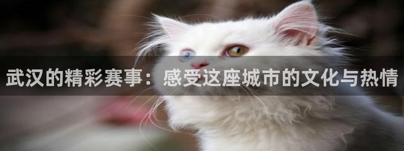 易倍emc体育是哪里的：武汉的精彩赛事：感受这座城市的文化与