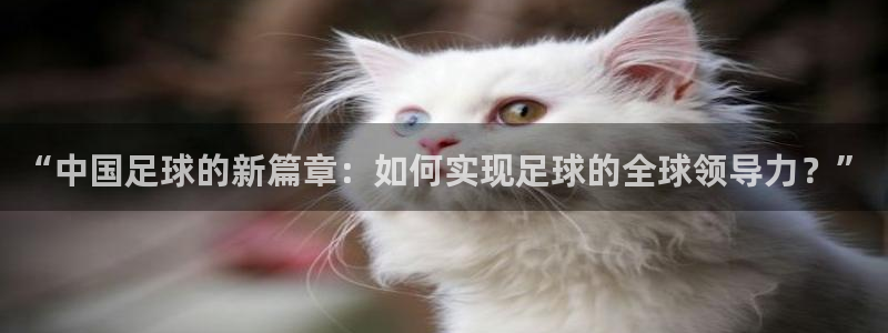  易倍emc全站：“中国足球的新篇章：如何实现足球的全球领导力